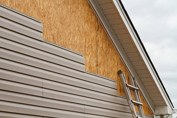 Professional Siding Inspection technician working in Haymarket, VA
